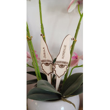 Lesene vrtne oznake z gravuro - PALČEK