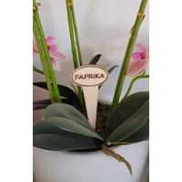 Lesene vrtne oznake z gravuro - OVAL