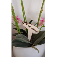 Lesene vrtne oznake z gravuro - KOŠARICA VRTNIN